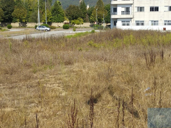 Terreno para Venda em Valongo Foto 29