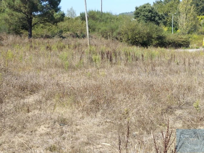 Terreno para Venda em Valongo Foto 32