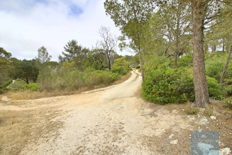 Terreno para Venda em Budens Foto 18