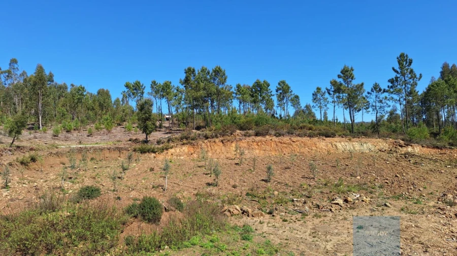 Terreno Agricola ou Rústico para Venda em Sertã Foto 10