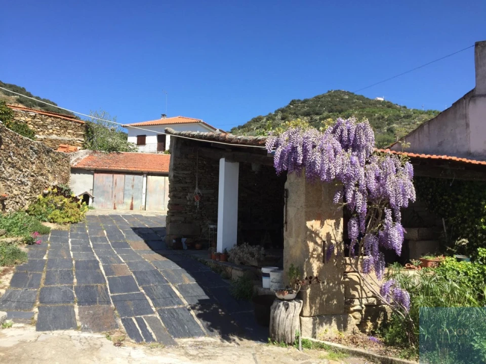 Quinta T4 para Venda em Vila Nova de Foz Côa Foto 37