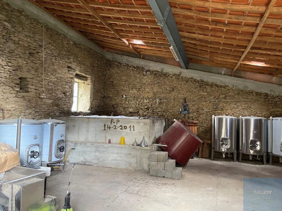 Quinta T4 para Venda em Vila Nova de Foz Côa Foto 51