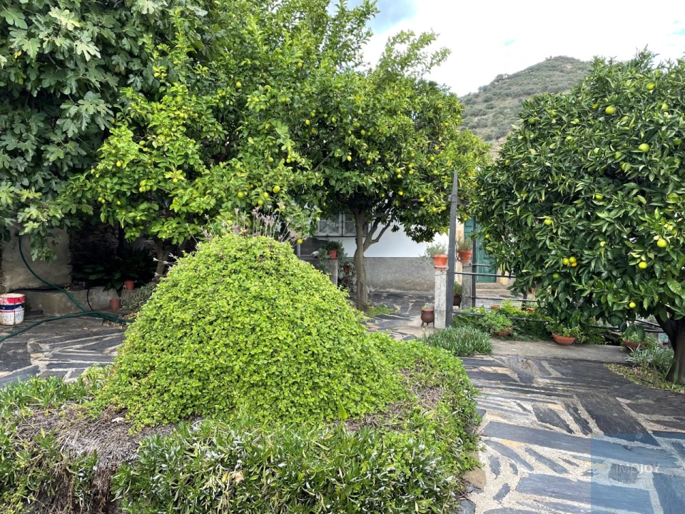 Quinta T4 para Venda em Vila Nova de Foz Côa Foto 52