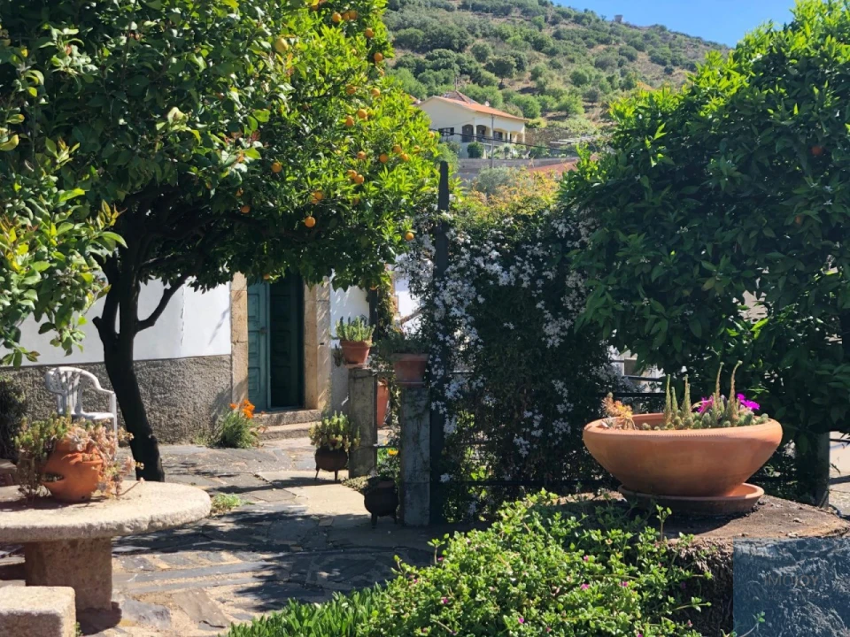 Quinta T4 para Venda em Vila Nova de Foz Côa Foto 54