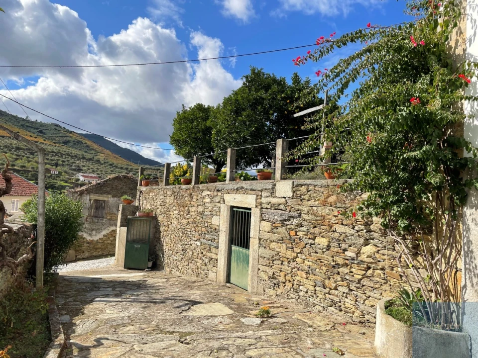 Quinta T4 para Venda em Vila Nova de Foz Côa Foto 63