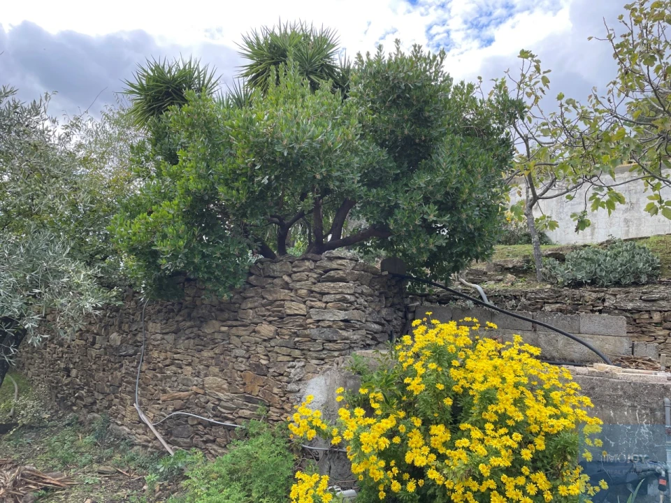 Quinta T4 para Venda em Vila Nova de Foz Côa Foto 72