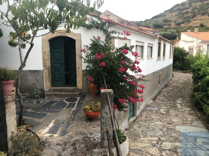 Quinta T4 para Venda em Vila Nova de Foz Côa Foto 1