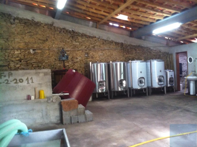 Quinta T4 para Venda em Vila Nova de Foz Côa Foto 47