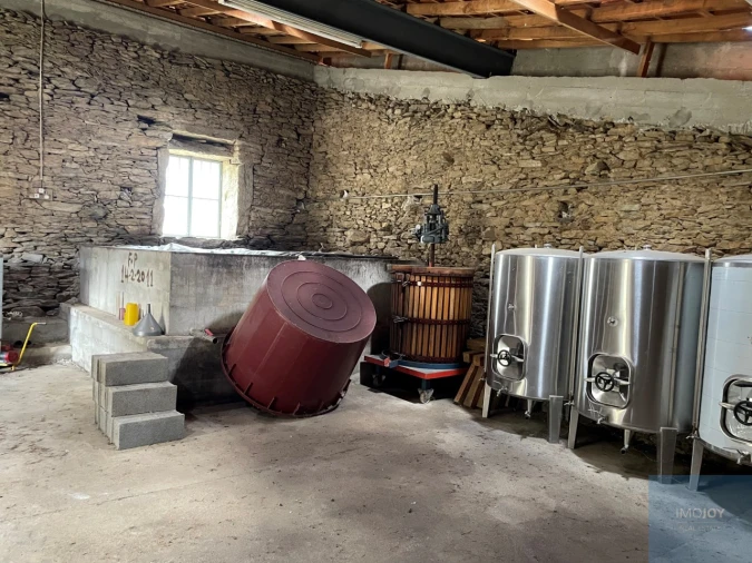 Quinta T4 para Venda em Vila Nova de Foz Côa Foto 48