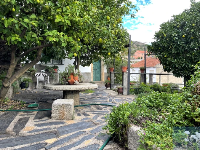 Quinta T4 para Venda em Vila Nova de Foz Côa Foto 53