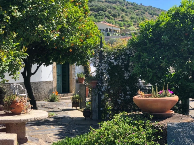 Quinta T4 para Venda em Vila Nova de Foz Côa Foto 54