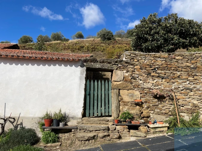 Quinta T4 para Venda em Vila Nova de Foz Côa Foto 62