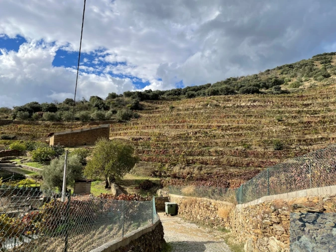 Quinta T4 para Venda em Vila Nova de Foz Côa Foto 67