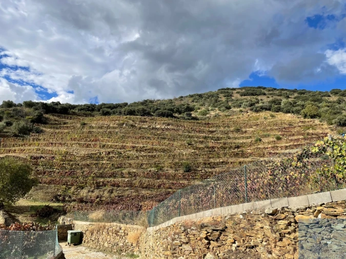 Quinta T4 para Venda em Vila Nova de Foz Côa Foto 68