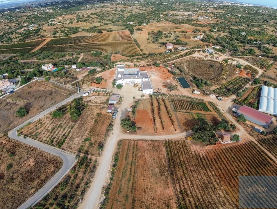 Negócio para Venda em Guia Foto 20