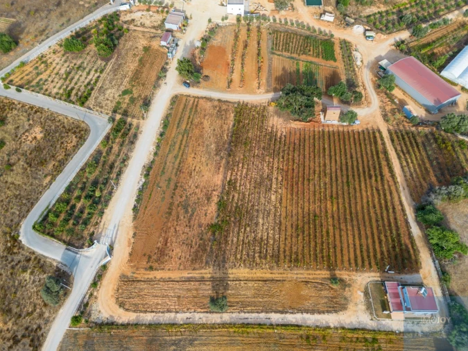 Negócio para Venda em Guia Foto 19