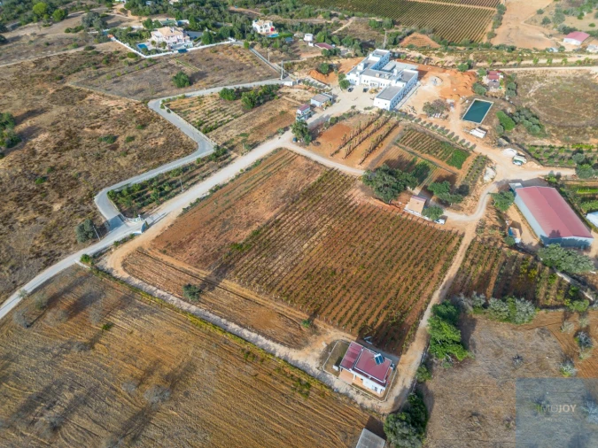 Negócio para Venda em Guia Foto 23