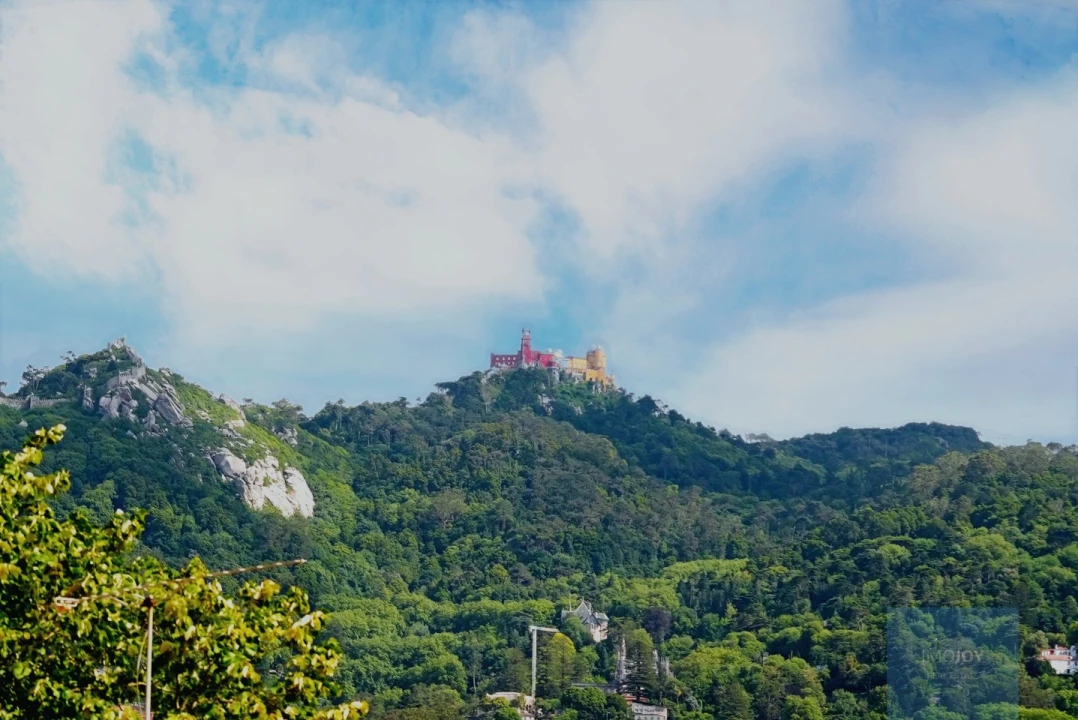 Moradia T4 para Venda em Santa Maria e São Miguel, São Martinho, São Pedro Penaferrim Foto 23