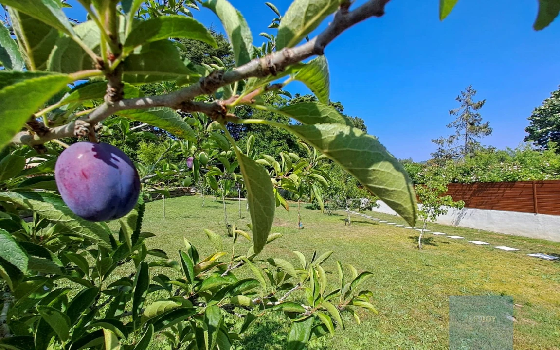Moradia T4 para Venda em Santa Maria e São Miguel, São Martinho, São Pedro Penaferrim Foto 28