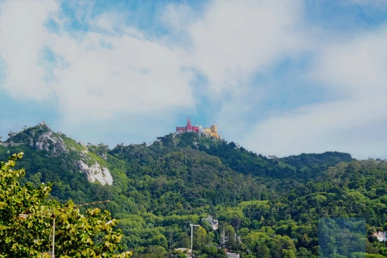 Moradia T4 para Venda em Santa Maria e São Miguel, São Martinho, São Pedro Penaferrim Foto 23
