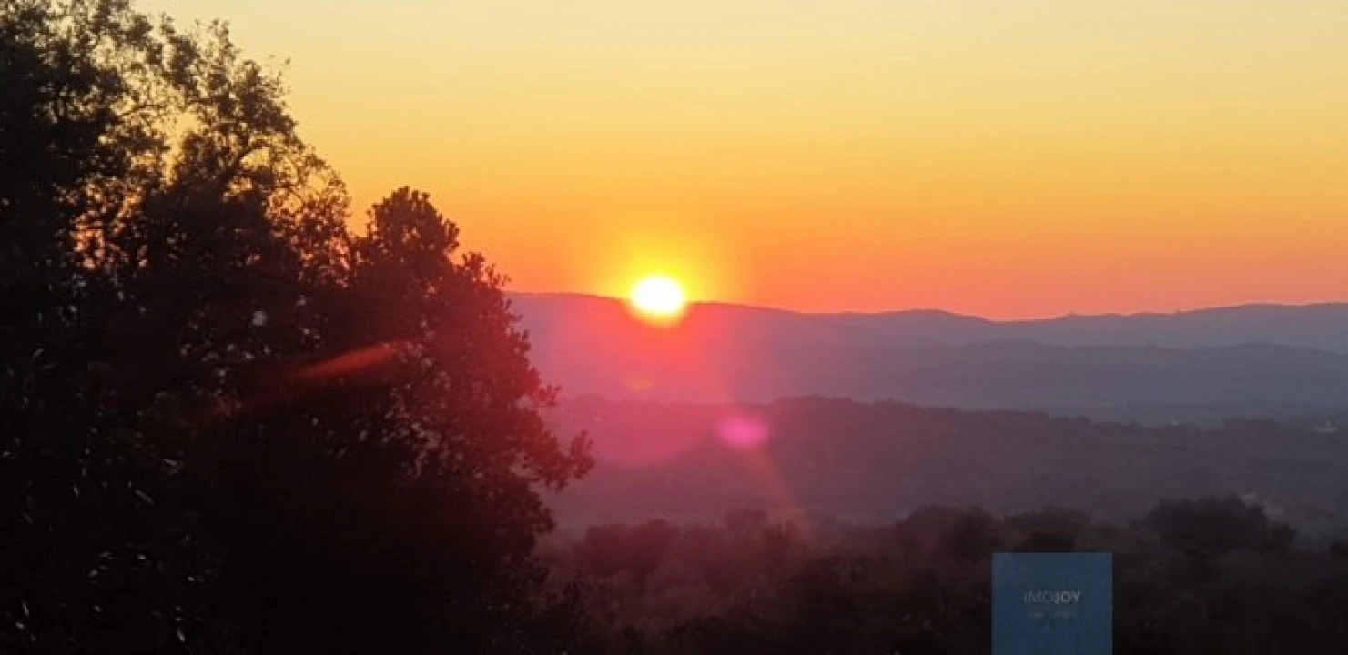 Terreno Agricola ou Rústico para Venda em Borba (Matriz) Foto 11