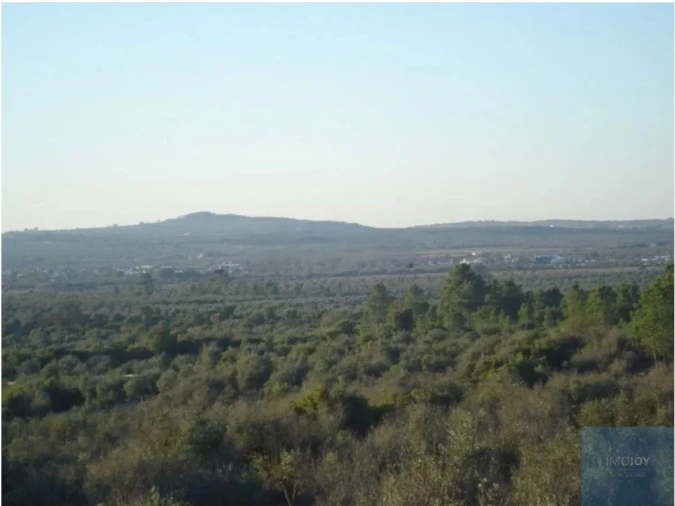 Terreno Agricola ou Rústico para Venda em Borba (Matriz) Foto 8