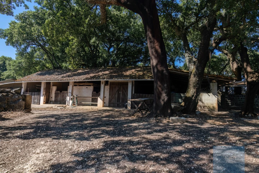 Quinta T7 para Venda em Alcanede Foto 36