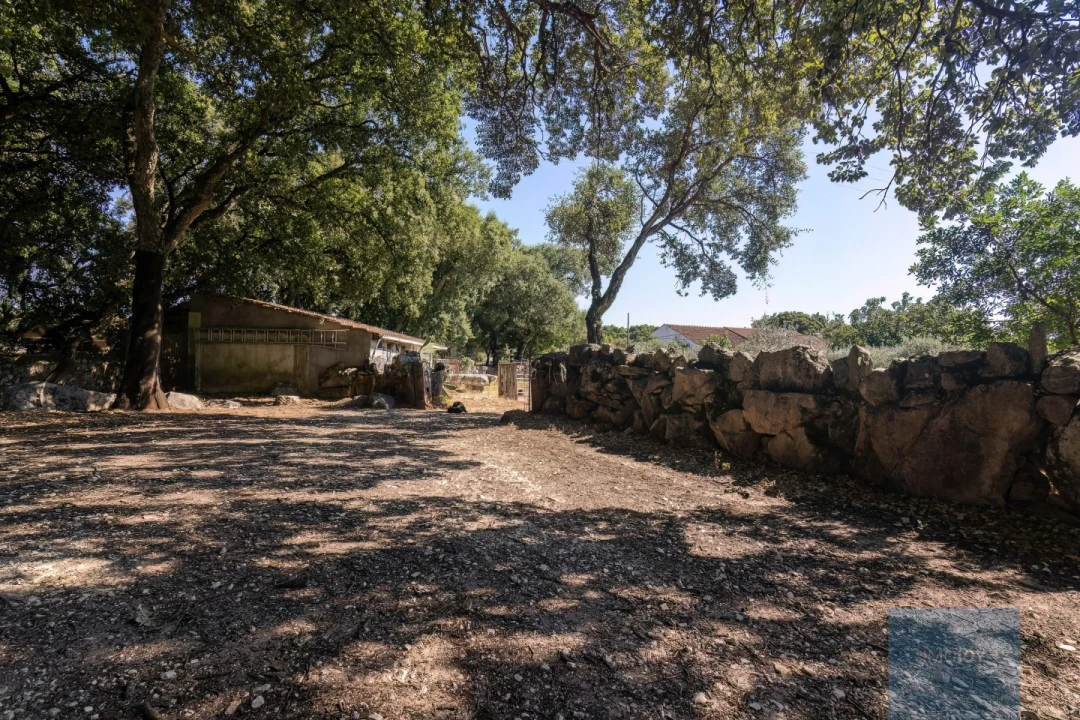 Quinta T7 para Venda em Alcanede Foto 38