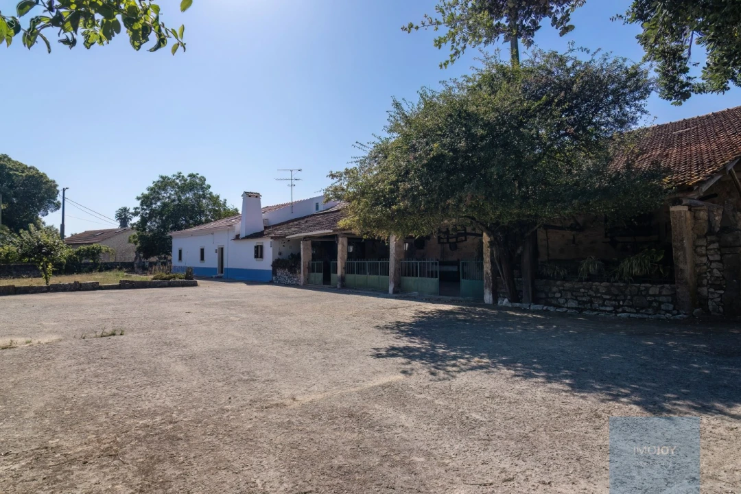 Quinta T7 para Venda em Alcanede Foto 4