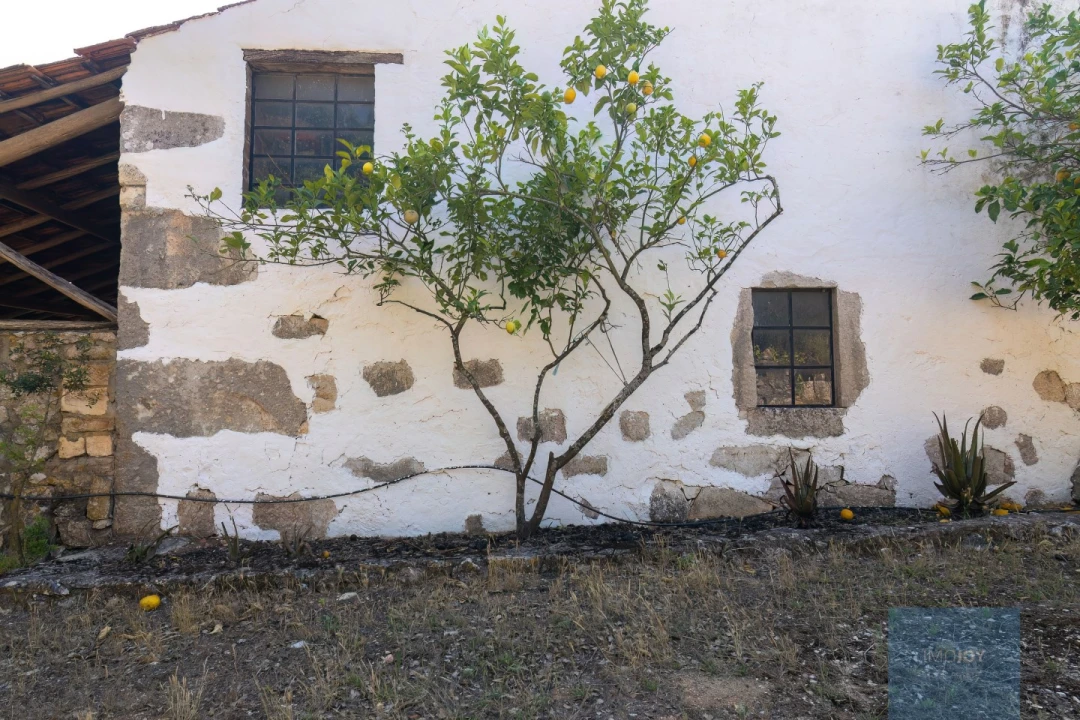 Quinta T7 para Venda em Alcanede Foto 41