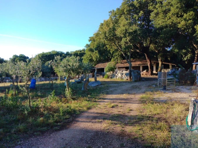 Quinta T7 para Venda em Alcanede Foto 34