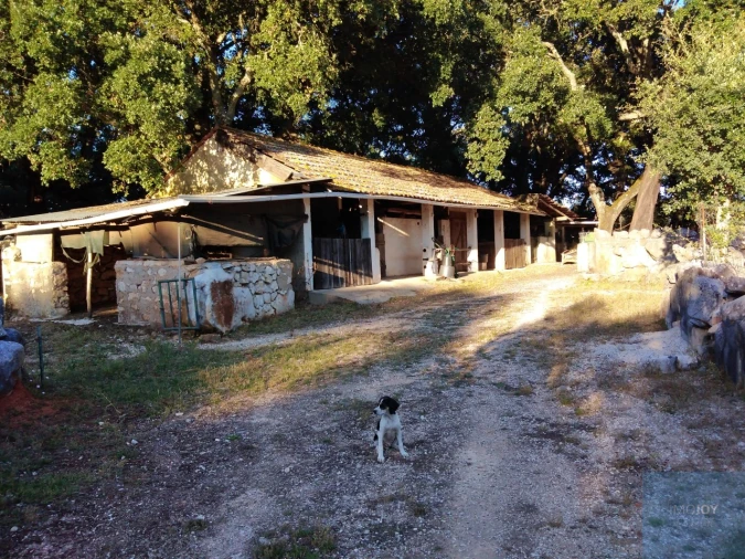 Quinta T7 para Venda em Alcanede Foto 35