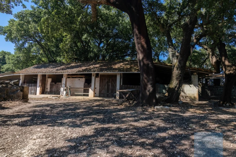 Quinta T7 para Venda em Alcanede Foto 36