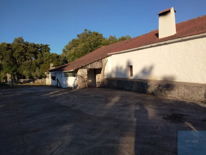 Quinta T7 para Venda em Alcanede Foto 39