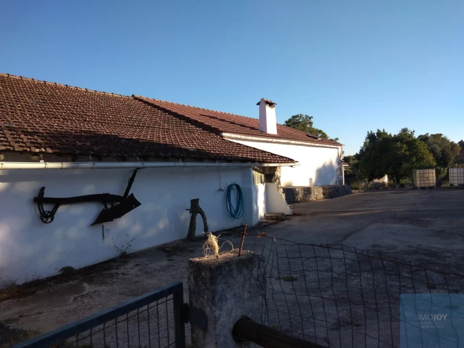 Quinta T7 para Venda em Alcanede Foto 40