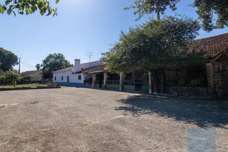 Quinta T7 para Venda em Alcanede Foto 4