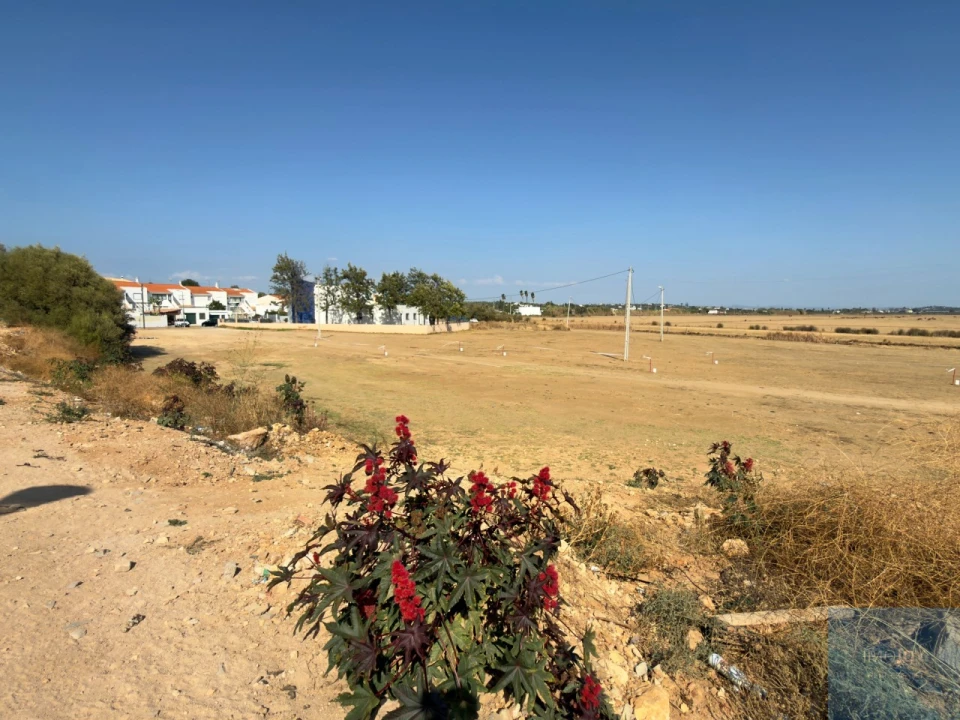 Terreno para Venda em Lagoa e Carvoeiro Foto 11