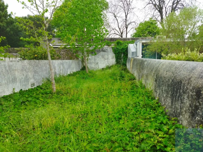 Prédio para Arrendamento em Cedofeita, Santo Ildefonso, Sé, Miragaia, São Nicolau e Vitória Foto 19