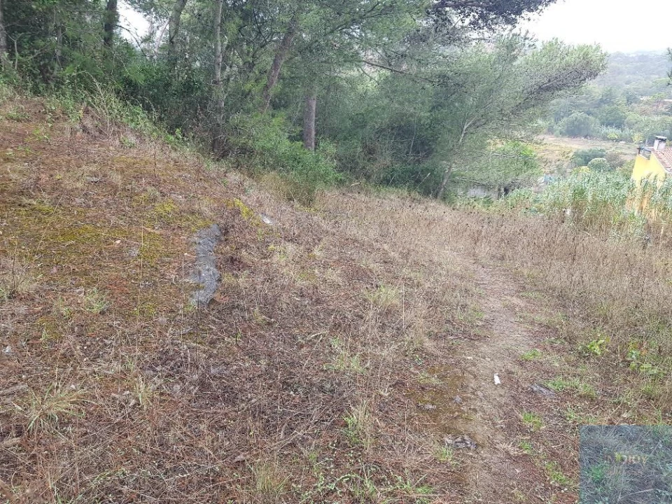 Terreno para Venda em São Domingos de Rana Foto 4