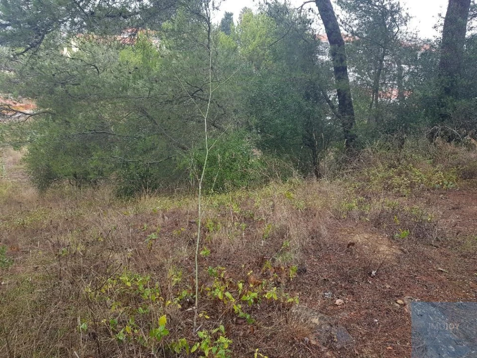Terreno para Venda em São Domingos de Rana Foto 7
