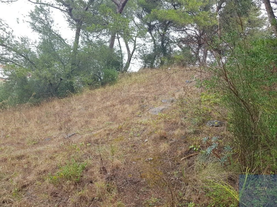 Terreno para Venda em São Domingos de Rana Foto 10