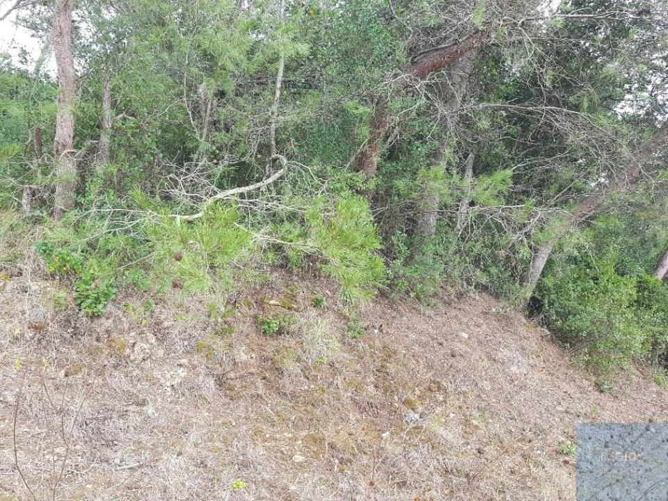 Terreno para Venda em São Domingos de Rana Foto 11