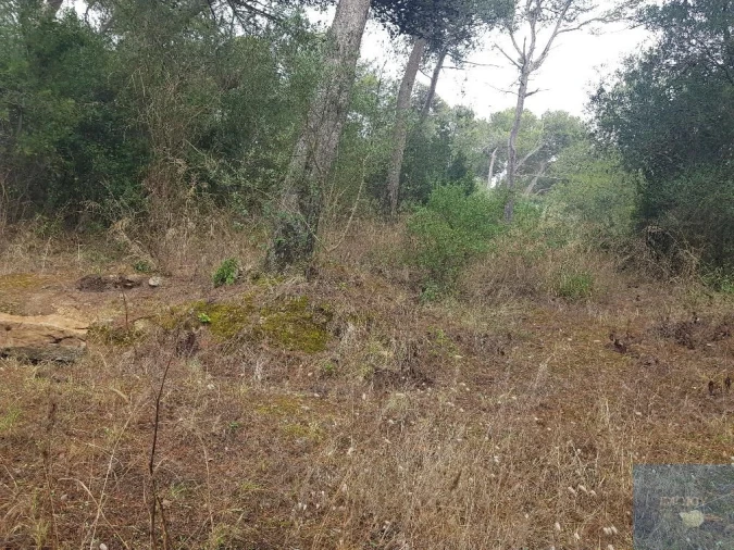 Terreno para Venda em São Domingos de Rana Foto 6