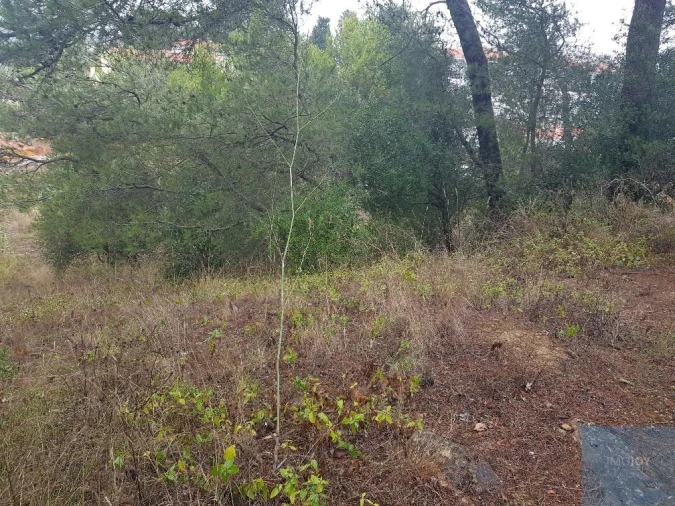 Terreno para Venda em São Domingos de Rana Foto 7