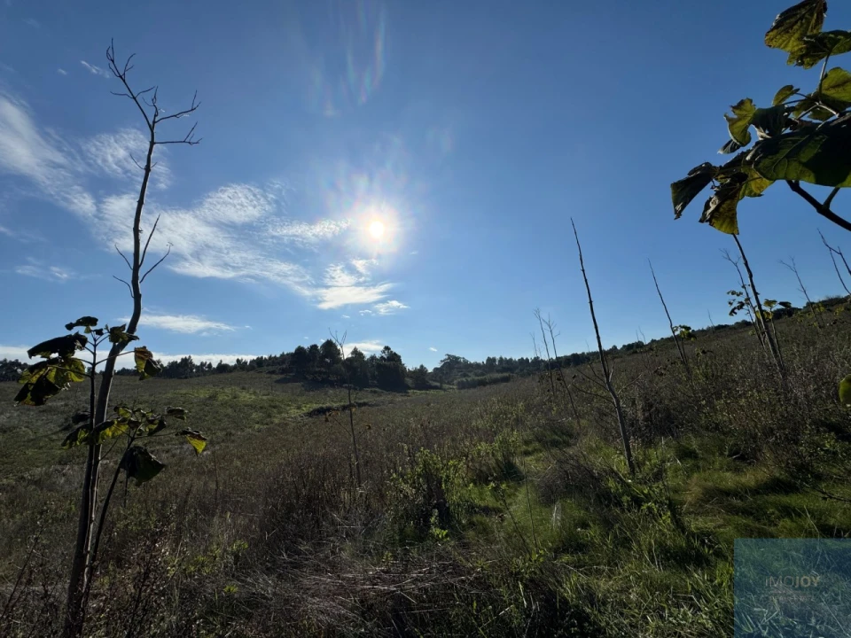 Terreno Agricola ou Rústico para Venda em Abrigada e Cabanas de Torres Foto 4