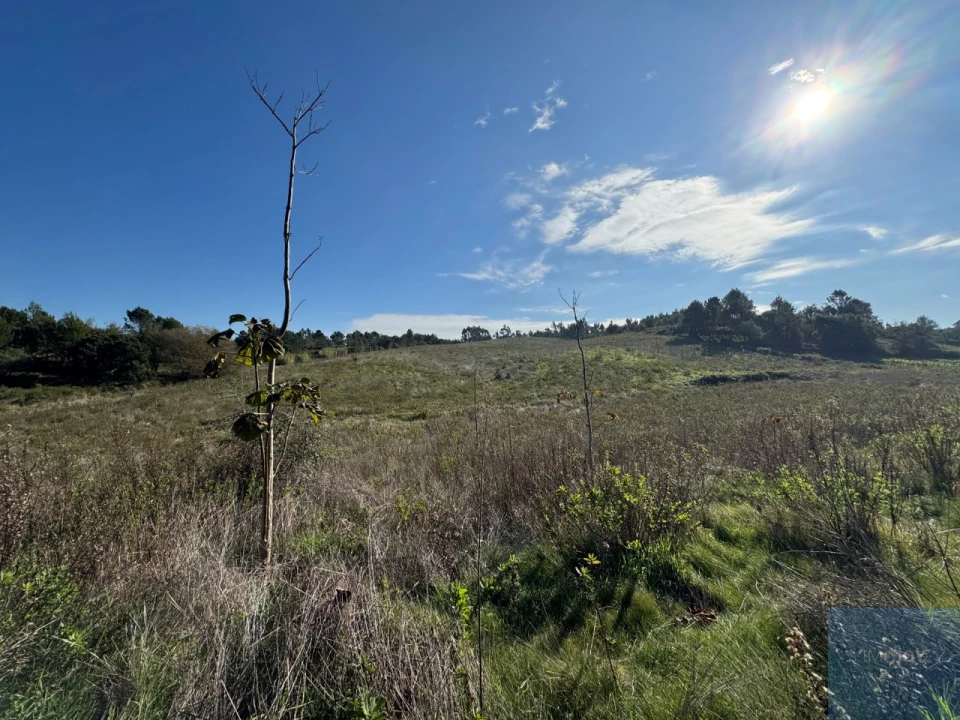 Terreno Agricola ou Rústico para Venda em Abrigada e Cabanas de Torres Foto 16