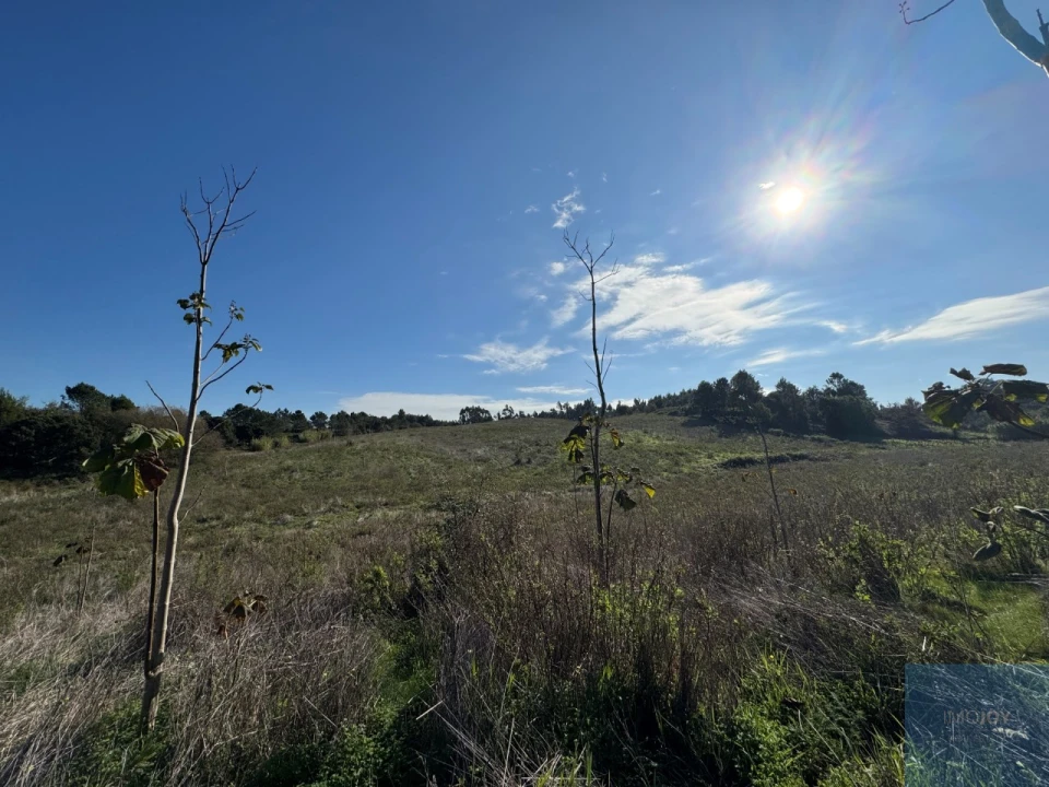 Terreno Agricola ou Rústico para Venda em Abrigada e Cabanas de Torres Foto 18