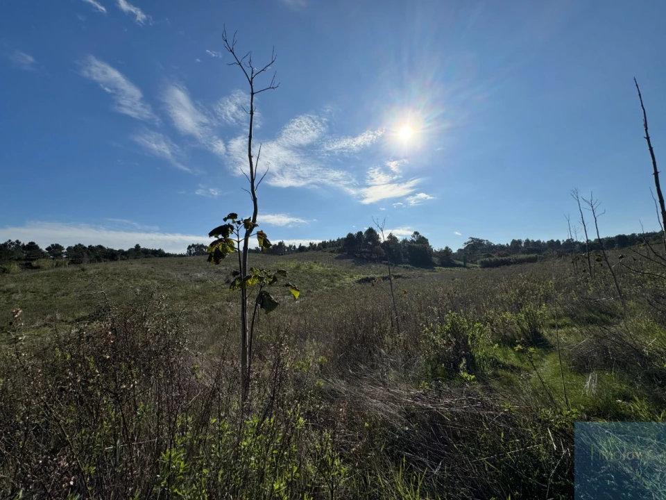 Terreno Agricola ou Rústico para Venda em Abrigada e Cabanas de Torres Foto 20