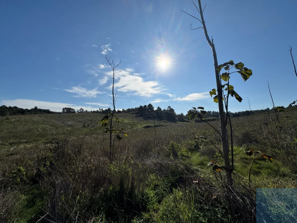 Terreno Agricola ou Rústico para Venda em Abrigada e Cabanas de Torres Foto 21