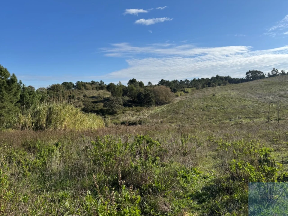Terreno Agricola ou Rústico para Venda em Abrigada e Cabanas de Torres Foto 24